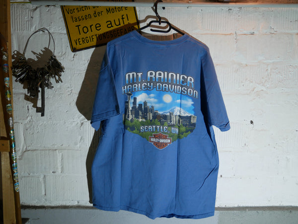 Vintage Harley Davidson T-Shirt (L/XL)